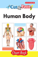 Cut & Paste - Human Body
