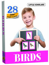 Flash Cards - BIRDS